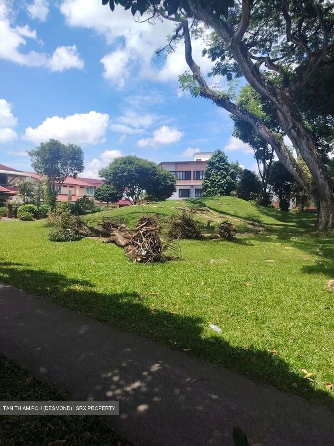 Ang Mo Kio Avenue 5 (D20), Terrace #495615881